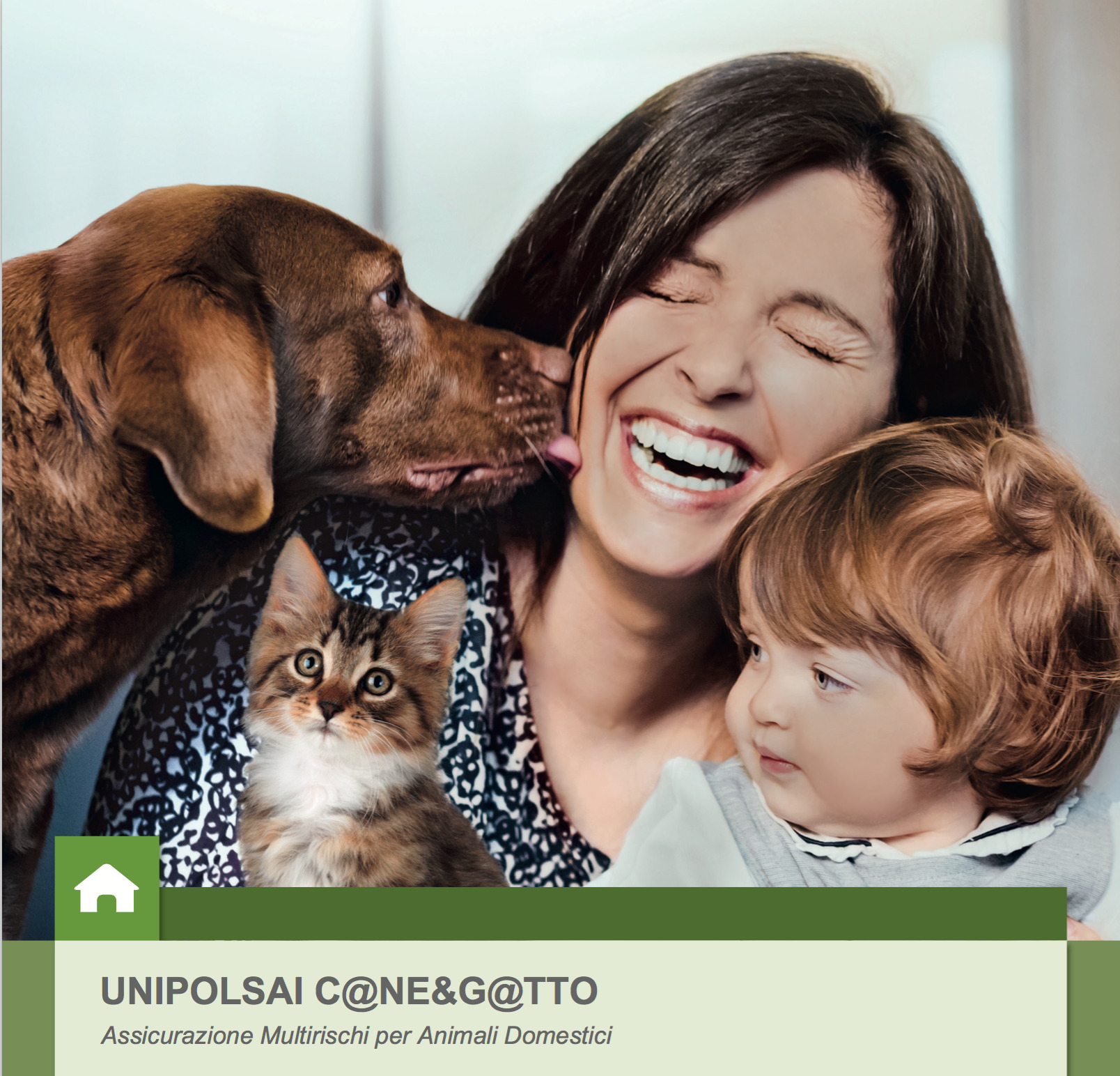 Cane & gatto